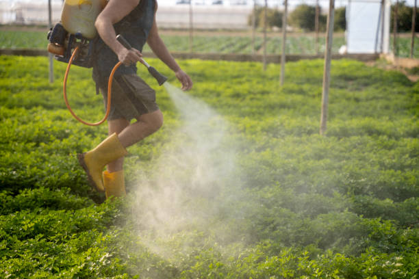 Best Pest Control for Restaurants  in West Newton, PA