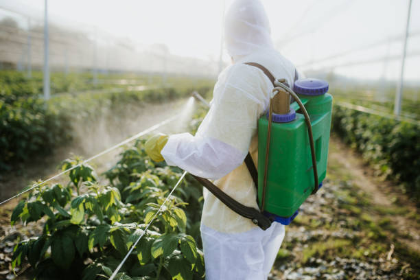 Reliable West Newton, PA Pest Control Solutions